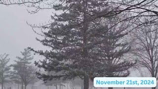 November Snowfall In IllinoisNovember 21st 2024 [upl. by Ytsrik]