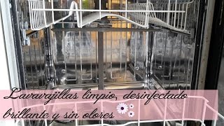 ¿Tu lavavajillas no limpia bien ¡Necesita una limpieza  Cómo limpiar el lavavajillas [upl. by Ellahcim840]