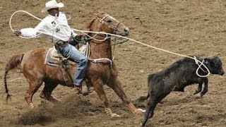 Competencia de Lazo y Barril en Caballos  TvAgro por Juan Gonzalo Angel [upl. by Tibbitts56]