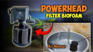 Cara Pasang Filter Aquarium ll POWERHEAD amp BIOFOAM [upl. by Durnan]