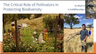 The Critical Role of Pollinators In Protecting Biodiversity Webinar [upl. by Ahsehat525]