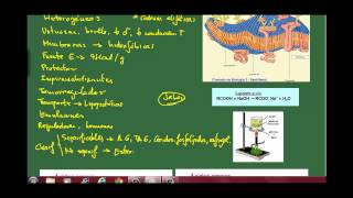 Biología 3 Los lípidos Ap 1 Características tipos y propiedades Los ácidos grasos [upl. by Sekofski620]