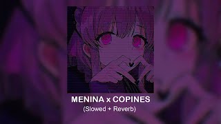 MENINA x COPINES SlowedReverb [upl. by Alrick601]