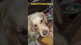 Daisy ka favorite tandoori chicken DaisyFunTv [upl. by Musetta]