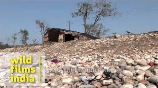 Aghori Babas hut at Chandi ghat Haridwar [upl. by Tellford]