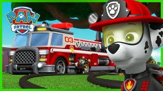 Oltre 1 ora di episodi Ultimate Rescue e altro ancora  PAW Patrol I cuccioli Episodi Italiano [upl. by Tristam]