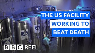 Inside the US lab freezing the dead at 196C  BBC REEL [upl. by Gibby603]