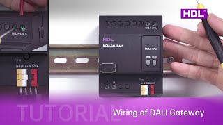 19 DALI Gateway Wiring Advanced Lighting Control in Your Buspro System [upl. by Ahkeber386]