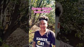 BIG Garden Mistake  345 🤦🏽‍♀️ shorts [upl. by Dachy332]