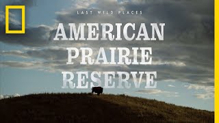 Last Wild Places American Prairie Reserve  National Geographic [upl. by Eslehc]