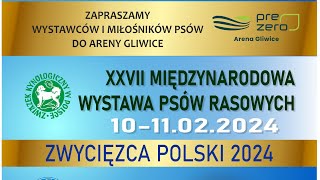 Międzynarodowa Wystawa Psów Katowice 2024 [upl. by Jessey]