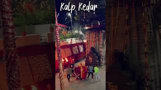 Kalp Kedar ji 🙏 kalpkedar kalpeshwar himalayantrek song shiva mahadev shiv vlog viralshorts [upl. by Tod]