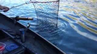 Steelhead Fishing  Clearwater River Idaho [upl. by Eelynnhoj]