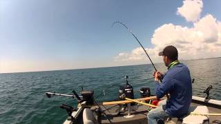 FISHING SOLO double header King salmon [upl. by Andrien]