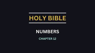 NUMBERS CHAPTER 12  Aaron and Miriam complain against Moses [upl. by Calore]