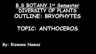 Anthoceros by Rizwana Nawaz [upl. by Anayra265]