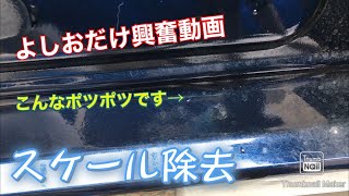 【洗車】細かいところのスケール除去。自己満動画なので見たい方だけ見てくださいの件。私は興奮しています。 [upl. by Kcirdef]