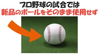 【意外と知らない】野球道具に関する雑学【プロ野球】 [upl. by Notseh]