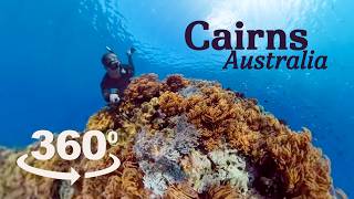 360 Video  A walk around Cairns Australia  Travel Guide [upl. by Litnahc]