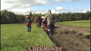 Annapolis Valley Working With Oxen [upl. by Letha]