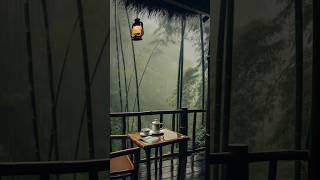 quotRainy Night in the Forest  Cozy Thunderstorm Ambience with Lantern amp Tea 🌧️☕quotytshortsshortsfeed [upl. by Yanttirb204]