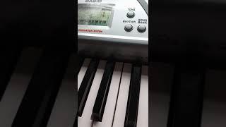 Piano Casio CTK491  08 WHEN THE SAINTS GO MARCHING IN [upl. by Hermosa]