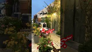 Doha city Qatar  street walk Qatar 🇶🇦 zamakhyber shortvideo travel shorts qatar [upl. by Volin]