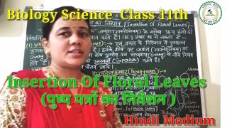 पुष्प पत्रों का निवेशन  INSERTION OF FLORAL LEAVES Hindi Medium [upl. by Lemhaj]