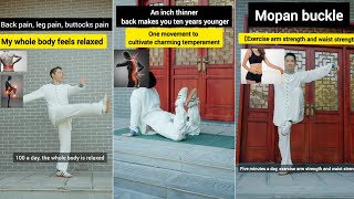 Back pain leg pain buttocks pain  Exercise Arm Strength and Waist Strength  Martial Arts Taichi [upl. by Spector]