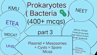 Prokaryotes  Bacteria  400 mcqs Part 3  Plasmid  Mesosomes  Spores  Cysts  Related mcqs [upl. by Clifford991]