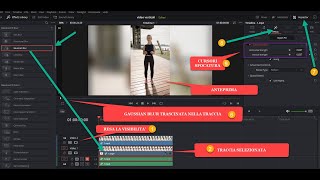 Come editare i video verticali con DaVinci Resolve [upl. by Jaye]