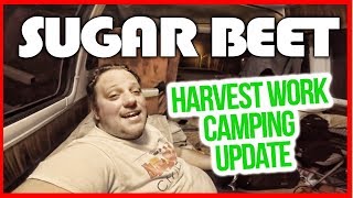 RV Living Full Time Sugar Beet Harvest Work Camping Update [upl. by Niret]