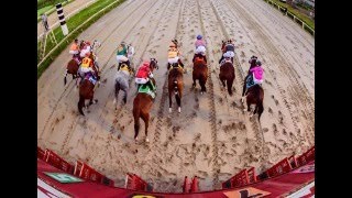 ANALISIS HIPODROMO CAMARERO DOMINGO 29 DE SEPTIEMBRE 24 [upl. by Queena]