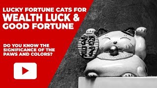 How To Choose The Right Feng Shui Lucky Fortune Cat For Good Wealth Luck [upl. by Sundstrom]