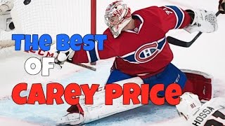 The Best of 31 Carey Price [upl. by Ahtanamas]