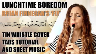 Lunchtime Boredom  Brian Finnegan Fly  IRISH TRAD  TIN WHISTLE TABS TUTORIAL amp SHEET MUSIC [upl. by Pownall]