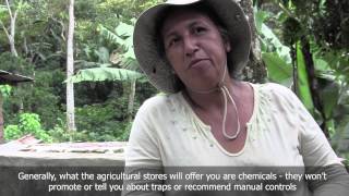 Highly Hazardous Pesticides Coffee farmers perspectives on problems and alternatives [upl. by Aikkin]