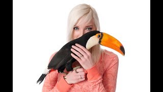 I Let My Toucan ATTACK My Husband  TOUCANS BITE [upl. by Giovanna]