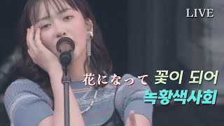 緑黄色社会 녹황색사회  꽃이 되어 花になって LIVE 가사해석 METROCK 2024 [upl. by Aillimac]