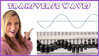 Transverse Waves and Labelling Wave Diagrams [upl. by Aramot]