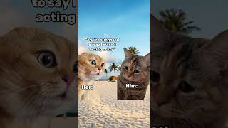 CAT MEMES  CRAZY WOMAN cat funny viral [upl. by Lettie]