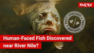 FACT CHECK Viral Video Shows HumanFaced Fish Discovered in Lake Samsara near River Nile [upl. by Kcirdor434]