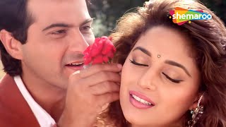 फूल मांगू ना बहार मांगू Phool Mangu Na Bahar Mangu  Raja Songs  Madhuri Dixit  Sanjay Kapoor [upl. by Billie539]