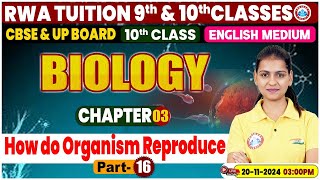 Class 10th Biology Chapter 3  How do organism reproduce Part 16  10th by Gaurangi Mam [upl. by Bevin523]