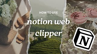 How Notion Web Clipper will make your life easier [upl. by Auohc862]