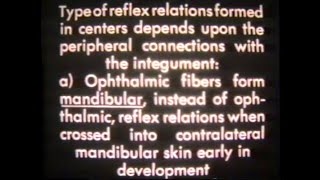 1940s Lab Experiment Roger W Sperry  Caltech [upl. by Clare782]