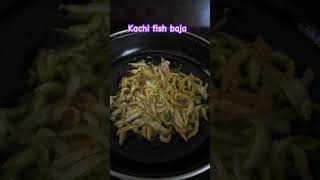 Kachi fish baja [upl. by Couq]