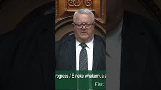 Haka interrupts vote for the Treaty Principles Bill  RNZ [upl. by Lehteb171]