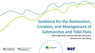 Guidance Launch Restoration Creation and Management of Salt marshes and Tidal Flats [upl. by Ahsemak]