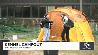 Kennel campout [upl. by Haleigh]